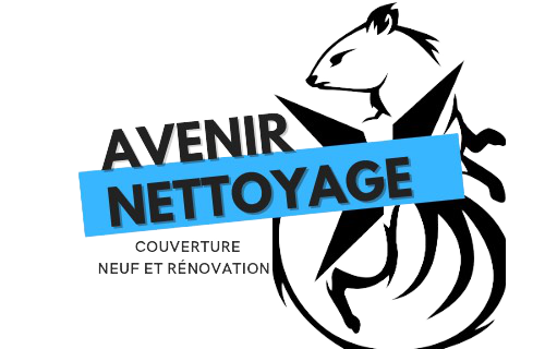 AVENIR NETTOYAGE