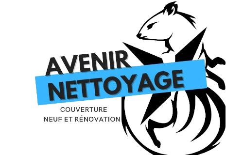 AVENIR NETTOYAGE